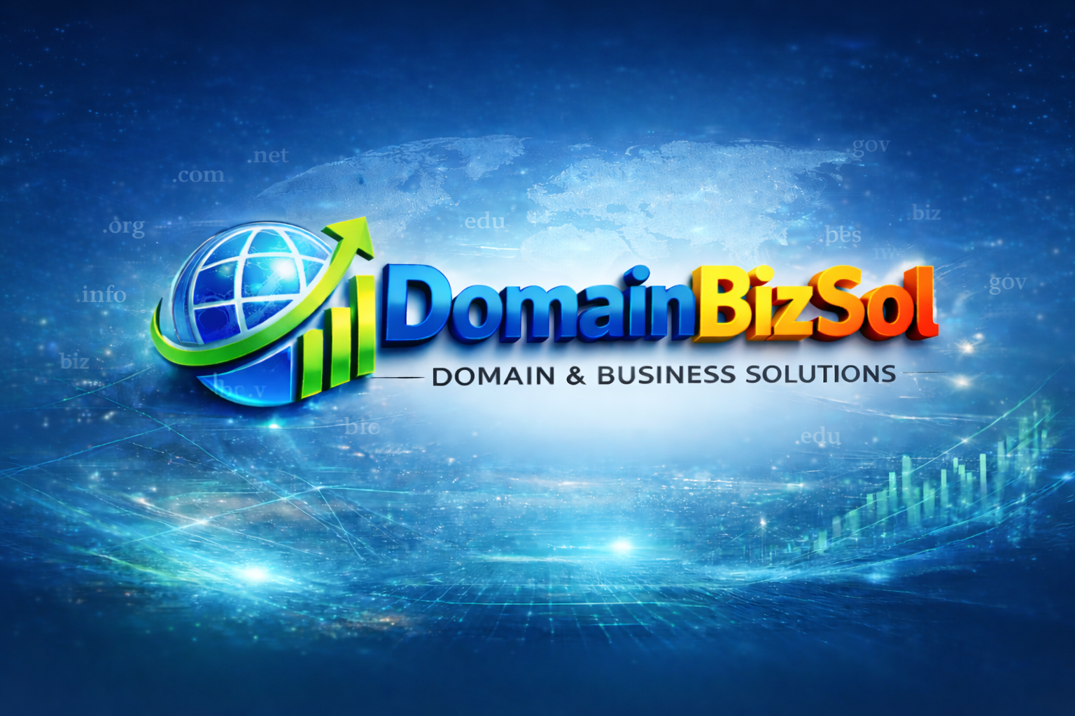 DomainBizSol Hero Logo